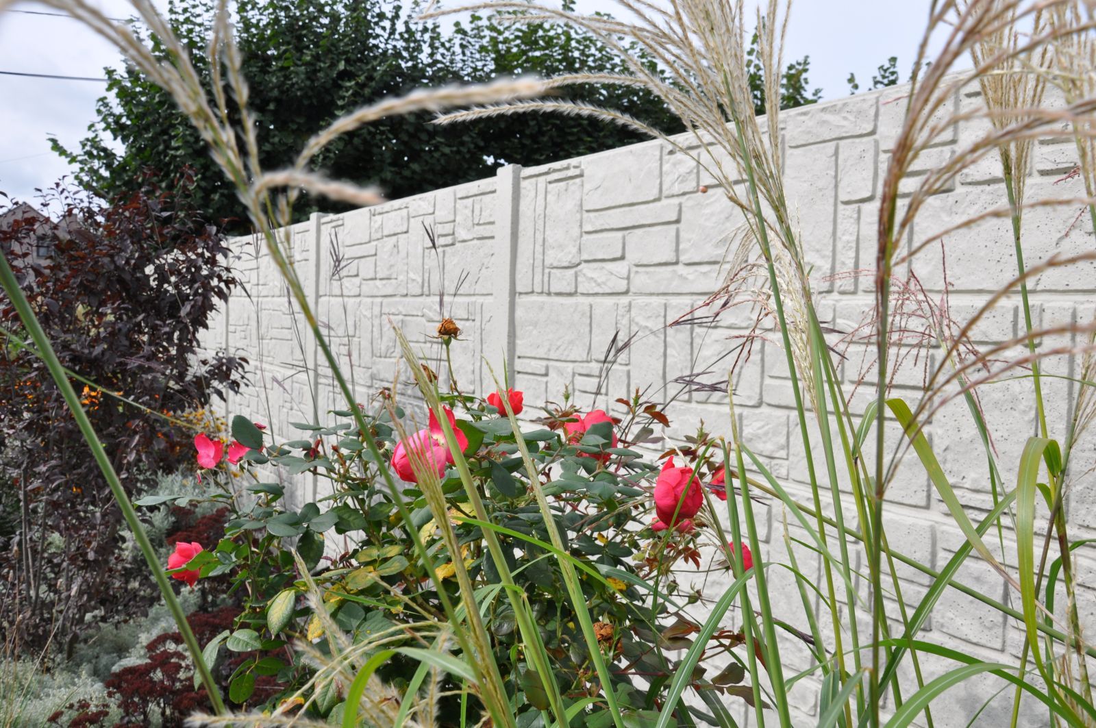 Blumen vor einem weißen Betonzaun